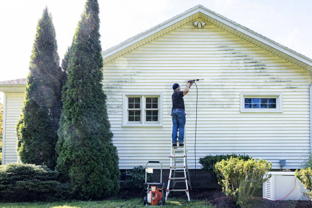 Best Roof Power Washing Services  in Bamberg, SC